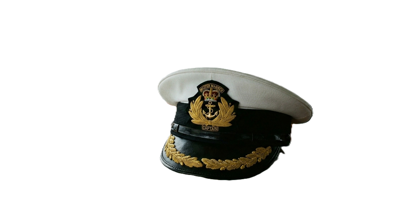 The Maritime Consultant