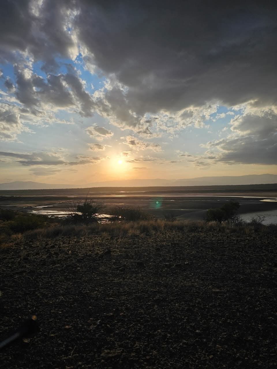 Osifal Business Solutions